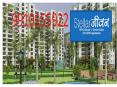 Stellar Jeevan Resale 9910155922 ,Flats Resale PowerPoint PPT Presentation