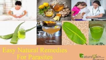 Easy Natural Remedies For Parasites To Give Relief From Disease
