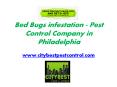 Bed Bugs Infestation - Pest Control Company in Philadelphia PowerPoint PPT Presentation