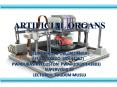 Artificial Organ PowerPoint PPT Presentation