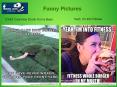 The Best Funny Pictures Website On The Internet - Funnywallphotos PowerPoint PPT Presentation