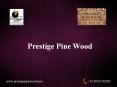 Prestige Pine Wood PowerPoint PPT Presentation
