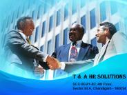 Job Consultants in Ludhiana