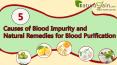 Causes of Blood Impurity and Natural Remedies for Blood Purification PowerPoint PPT Presentation