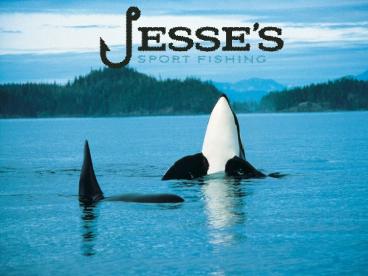 Fishing Port Renfrew in Victoria