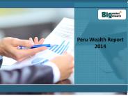 Peru Wealth Report 2014
