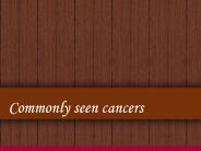 Commonly seen cancers