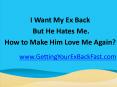 I Want My Ex Back But He Hates Me -- How to Make Him Love Me Again PowerPoint PPT Presentation