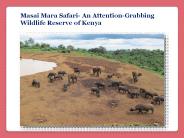Masai Mara Safari-Wildlife Reserve of Kenya