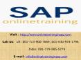 SAP ABAP Training Course Online and Placement - Online Training in SAP (1) PowerPoint PPT Presentation