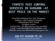 Termite pest control services in Gurgaon