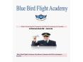 Pilot Training & Commercial Pilot Training,Commercial Pilot License - Blue Bird Flight Academy PowerPoint PPT Presentation