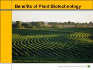 Benefits of Biotechnology