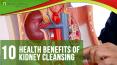 Top 10 Health Benefits of Kidney Cleansing and Ways to Cleanse Kidneys Naturally PowerPoint PPT Presentation