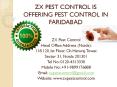 Pest control in Faridabad