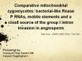 Comparative mitochondrial zygomycetes: bacterial-like Rnase P RNAs, mobile elements and a close source of the group I intron invasion in angiosperm PowerPoint PPT Presentation