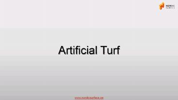 Professional playgrounds with artificial grass