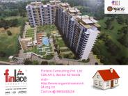 Rise Organic Homes