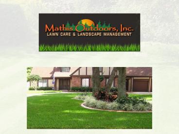 Dandelion Lawn Treatments