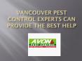Experts Can Provide The Best Help For Vancouver Pest Control PowerPoint PPT Presentation