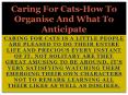 Caring For Cats-How To Organise And What To Anticipate PowerPoint PPT Presentation