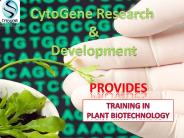 How to Get Internship in Plant Biotech