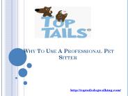 Why To Use A Professional Pet Sitter