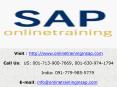 SAP BASIS Training Course Online and Placement - Online Training in SAP PowerPoint PPT Presentation