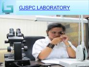 Gemstone Testing by GJSPC Laboratory