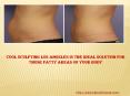 Cool Sculpting Los Angeles Is the Ideal Solution for those fatty areas of your body PowerPoint PPT Presentation