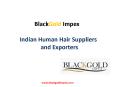 Indian Human Hair Exporters and Suppliers Online PowerPoint PPT Presentation