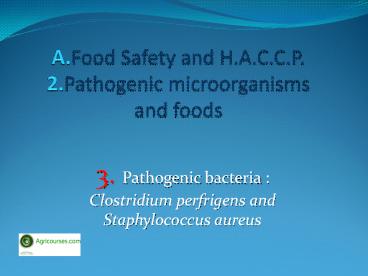 Lecture 3: Pathogenic bacteria, Clostridium perfrigens and Staphylococcus aureus