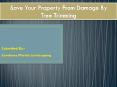 Save Your Property From Damage By Tree Trimming PowerPoint PPT Presentation