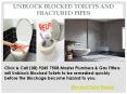Blocked Toilet Repair PowerPoint PPT Presentation