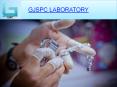 Diamond Testing by GJSPC LABORATORY PowerPoint PPT Presentation