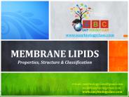 Membrane Lipids: Properties, Structure and Classification, ppt by easybiologyclass