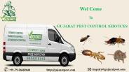 Importance of Pest control Services