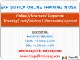 sap isu-fica online training in australia PowerPoint PPT Presentation