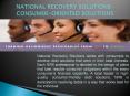 National Recovery Solutions PowerPoint PPT Presentation