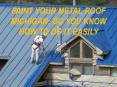 Paint Your Metal Roof Michigan: Do you know How to do it Easily PowerPoint PPT Presentation