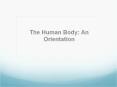 The%20Human%20Body:%20An%20Orientation PowerPoint PPT Presentation