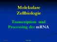 Molekulare Zellbiologie PowerPoint PPT Presentation