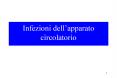 Infezioni dell PowerPoint PPT Presentation