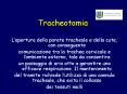 Tracheotomia PowerPoint PPT Presentation