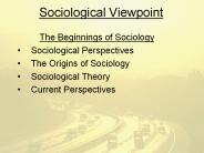 Sociological Viewpoint