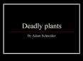 Deadly plants PowerPoint PPT Presentation