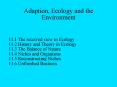 Adaption, Ecology and the Environment PowerPoint PPT Presentation