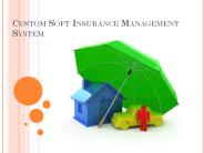 Custom Soft Insurance Management system (1)