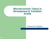 Macroeconomic Topics in Development