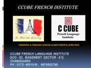 French Institute In Chandigarh
